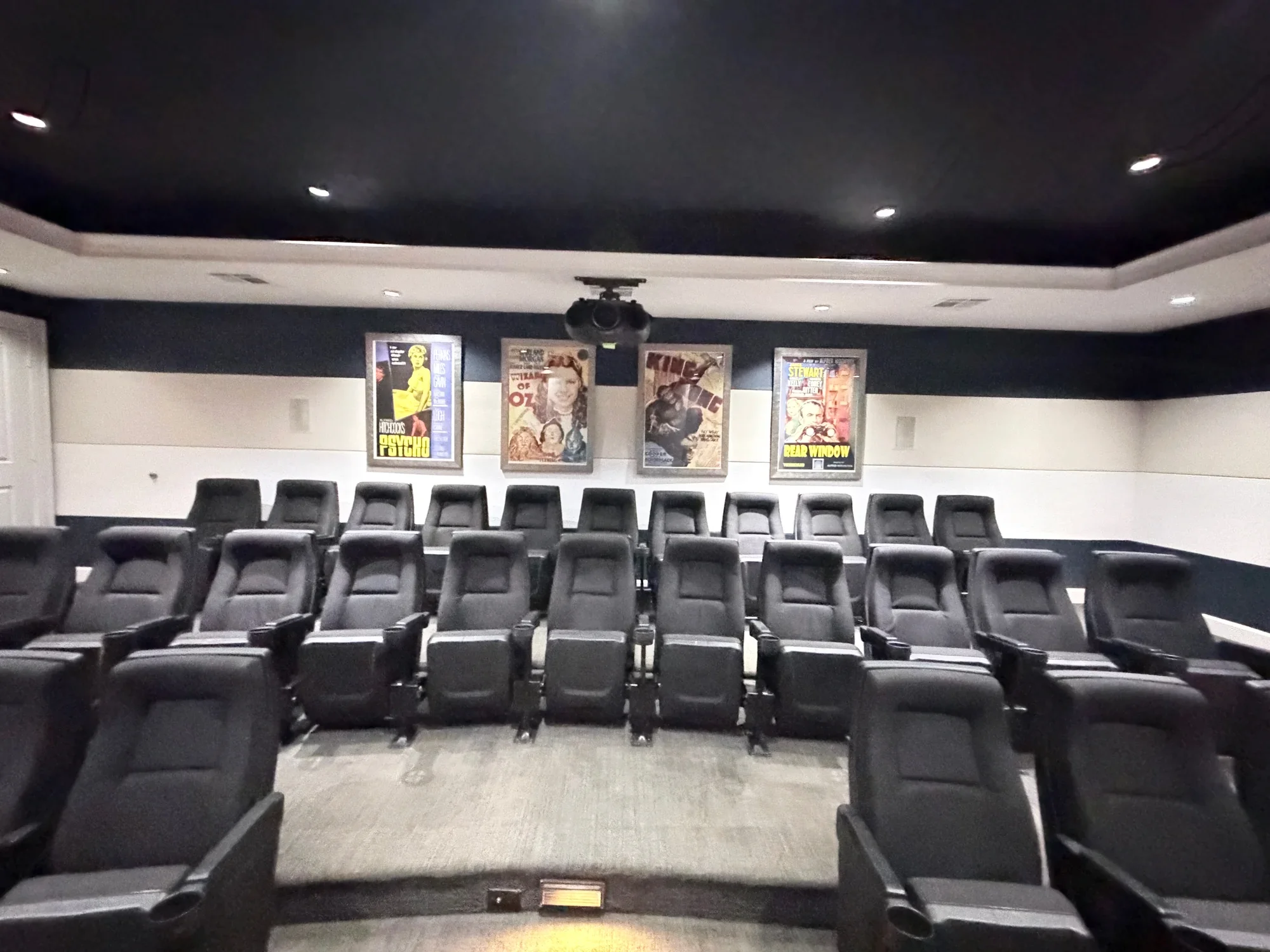 Private 4K Projection Screening Cinema
