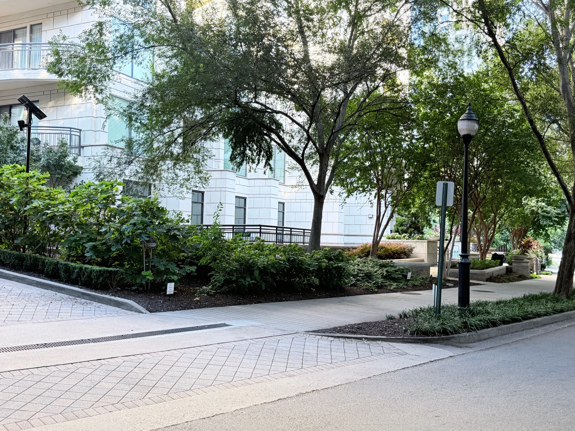 Landscaped Sidewalk and Tree Canopies